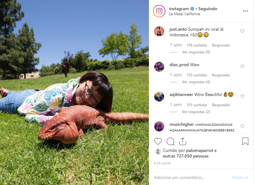 Instagram-oculta-curtidas-nas-fotos-veja-o-que-muda